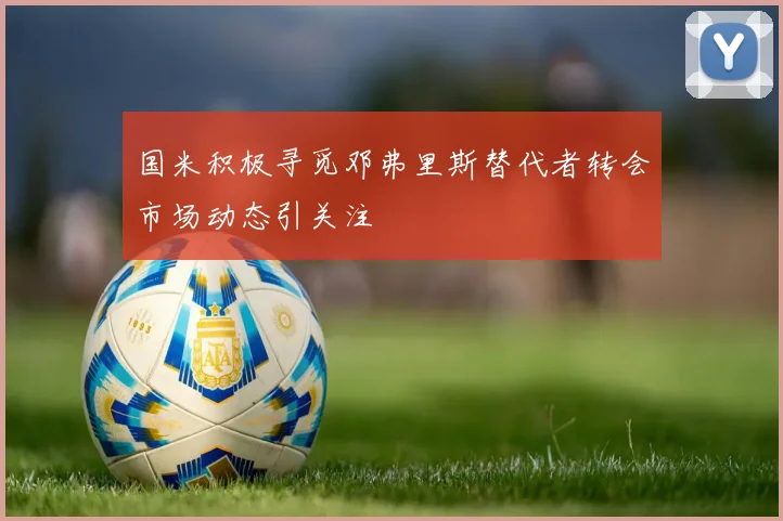 国米积极寻觅邓弗里斯替代者转会市场动态引关注