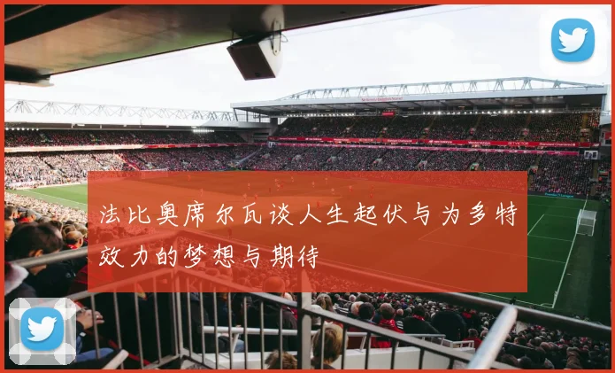 法比奥席尔瓦谈人生起伏与为多特效力的梦想与期待