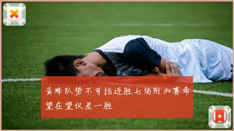 黄蜂队势不可挡连胜七场附加赛希望在望仅差一胜