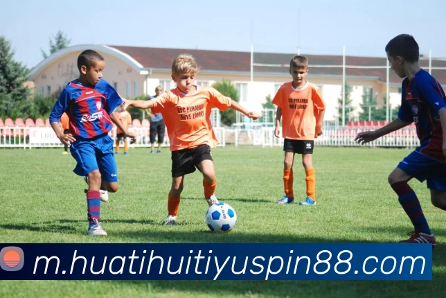 华体会体育平台生态图